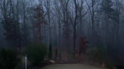 Just found this sub and I am in love with it. Here’s one of the best rain videos I have, this was last weekend in NC, US.