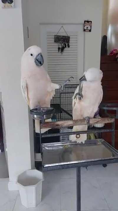 Finally become friend