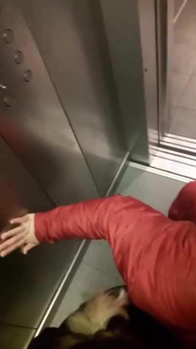 3 Sluts in an Elevator