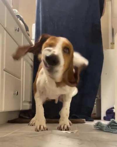 Finally captured the post-bath time shakes!