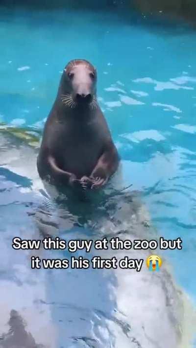 Wunk's ass doesn't want to work !