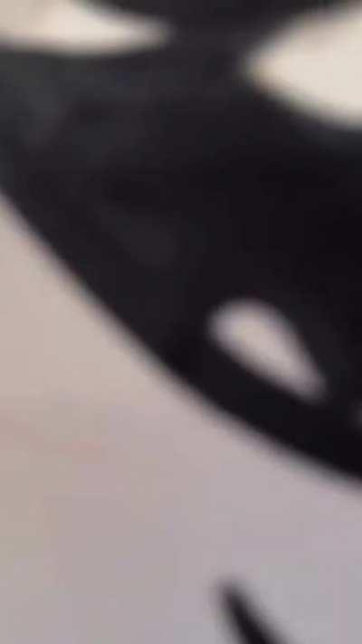 Cops react to their caricature.