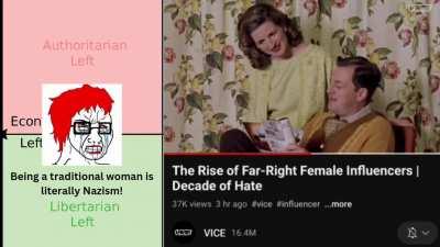 Vice 