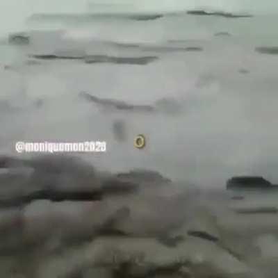 cade os coco jorge ?