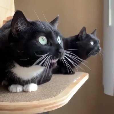 This transmission is coming to you ...