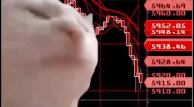 Apes watching GME fake price action.. P.S Thanks Kenny for the dip. I will keep hodling and vibing like my favorite cat