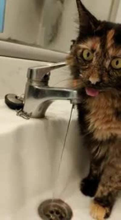 O Ping ta altíssimo