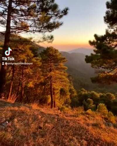 Interact with this if you’d fuck me