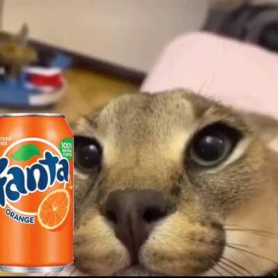 BIG FLOPPA WHEN FANTER V.S BIG FLOPPA WHEN SPRITE//TASTE TEST GONE WRONG😱