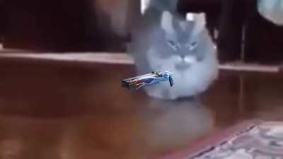 What a psion sees in its last moments