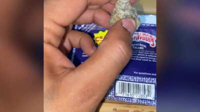 Dup in smoke shorts on IG