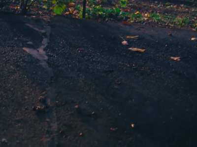 We are spoiled by the fall colors in Oregon