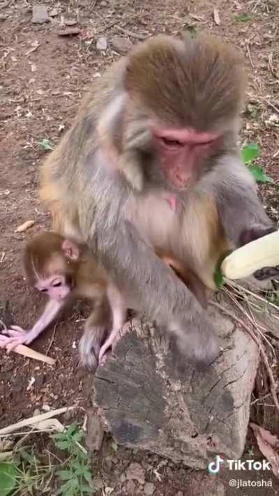 Меня эти нитки на бананах тоже бесят.