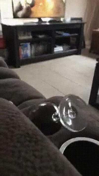 Just playing with the cat