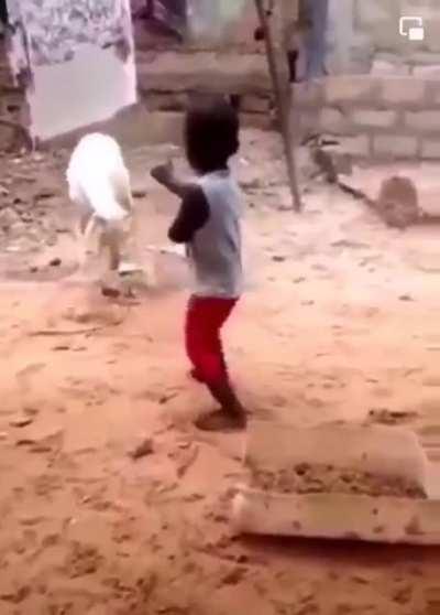 hmjb while i battle with the goat