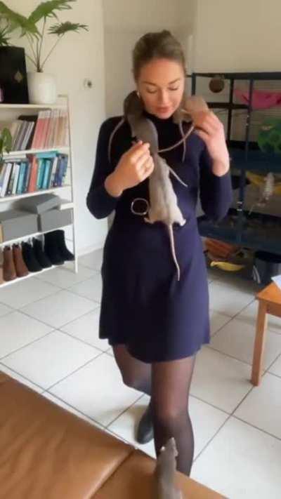 I can buy myself rats!!!