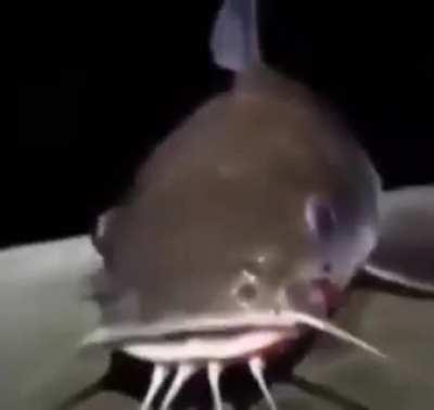 typa shi ive been on (frist epilepsy evr!!!!)