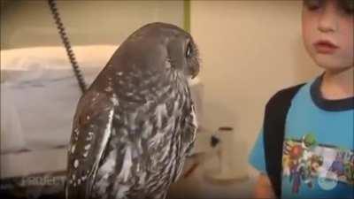 Checking my phone at work seeing ETH is up 10.00%