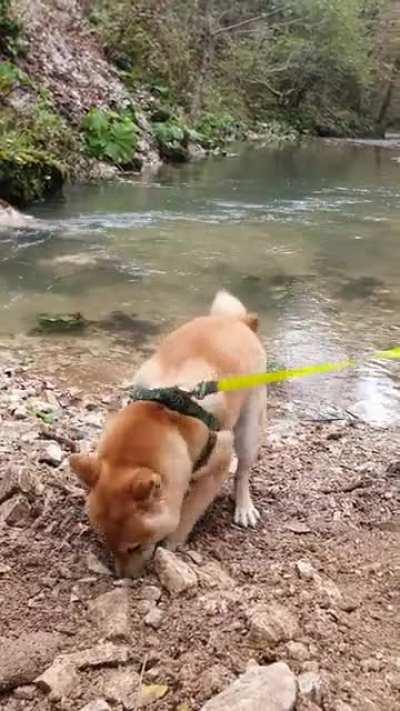 7 mo Kai enjoying nature 🧡☘🌱