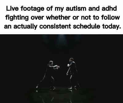 It always feels like my only two functioning brain cells are in a constant battle...