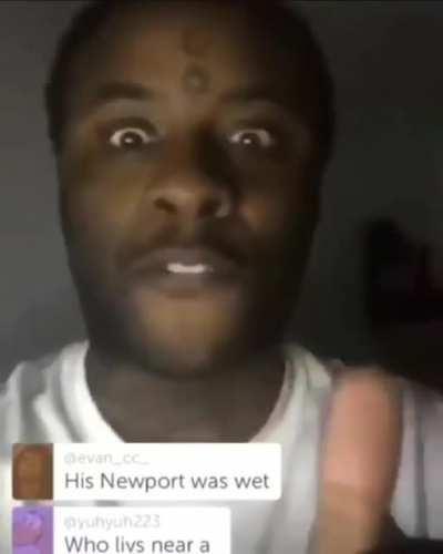 ihavigjhanbigjaibn animal