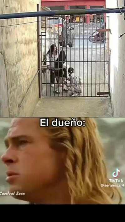 MoaiGreddit - Video #3650