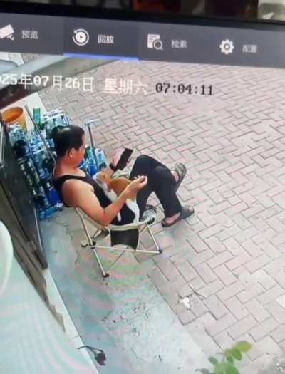 Kitty calculated plan