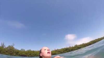 To be fair manatees are huge, but this is hilarious!