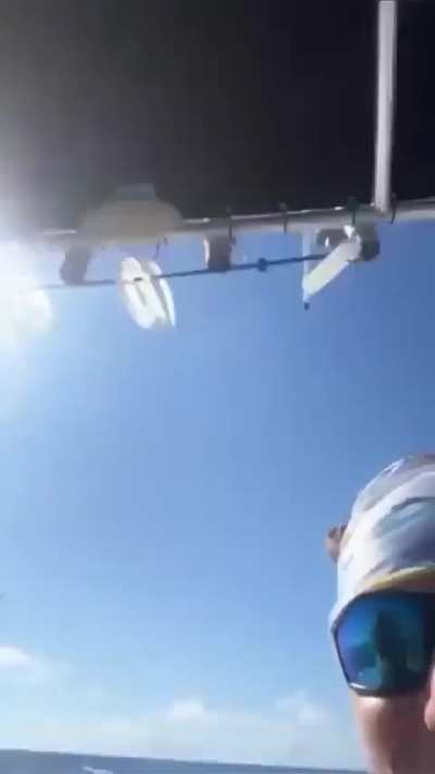 Owl lost at sea, returned back to shore by two dudes