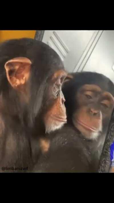 Orson por la mañana🥱🥱