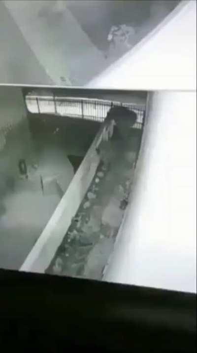 This CCTV footage capturing someone running by on all fours in the dead of night