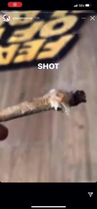 literally the same sound