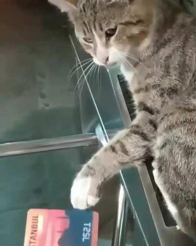 Istanbulkart is the most convenient way to pay for public transport in Istanbul. Well, maybe not all the time.