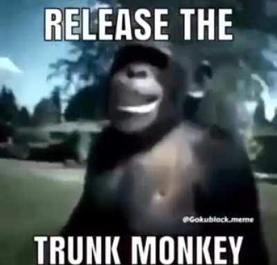 Trunk Monkey; When activated, will hunt down your enemies and brutally murder them.