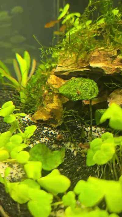 Just found out about this subreddit and here's my contribution for today