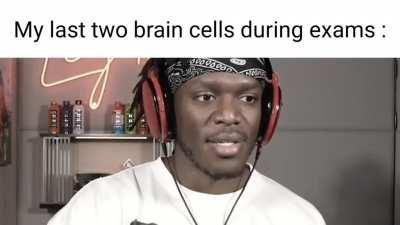 they be fighting all the time