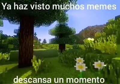 Descansa un poco pana