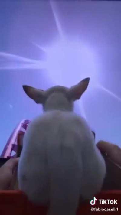 Can't stop watching this