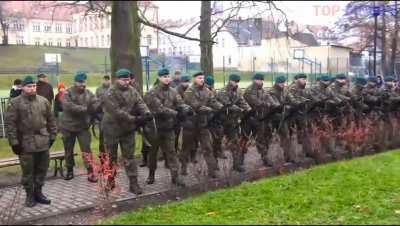 Польская армия