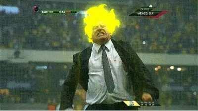 Here's a Live Look at Dogecoin Hodlers 🚀