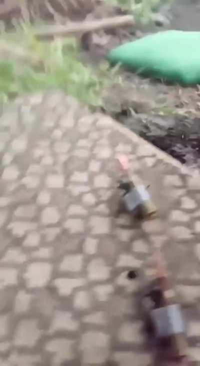 Ukranian counteroffensive: NATO lab trained killer bugs incoming 