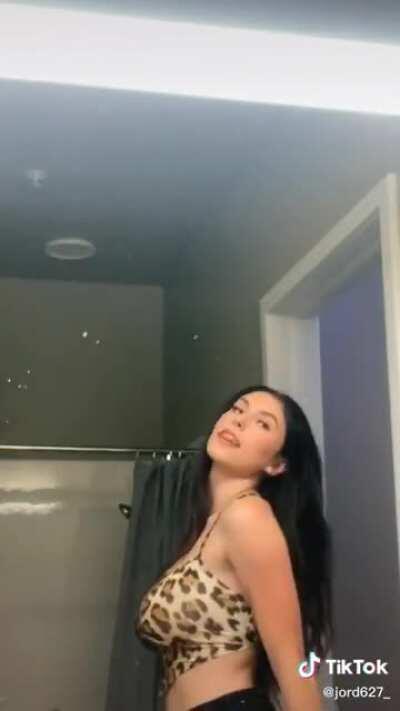 I Love Busty TikTokThots