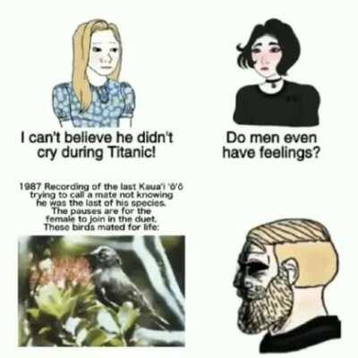 Es el último de su especie y está llamando pareja sin saber que nunca llegara 😔