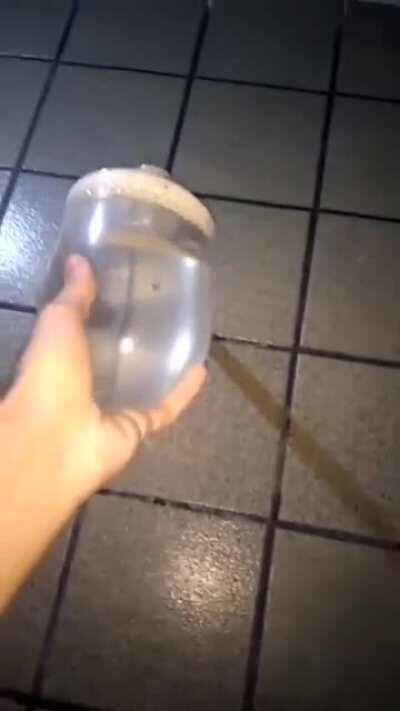 That wasn’t what I expected