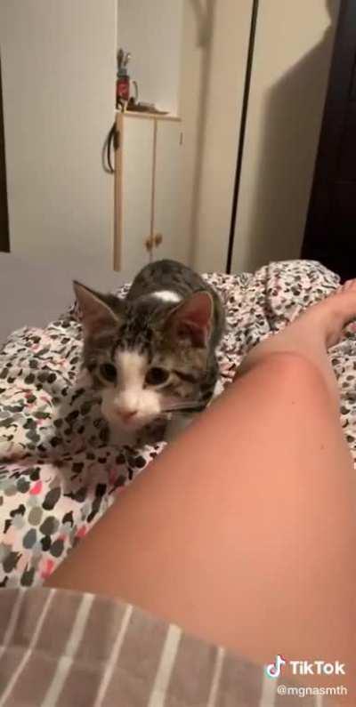 Target sees death coming for her