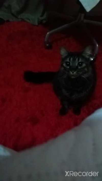 She didn't even blink!