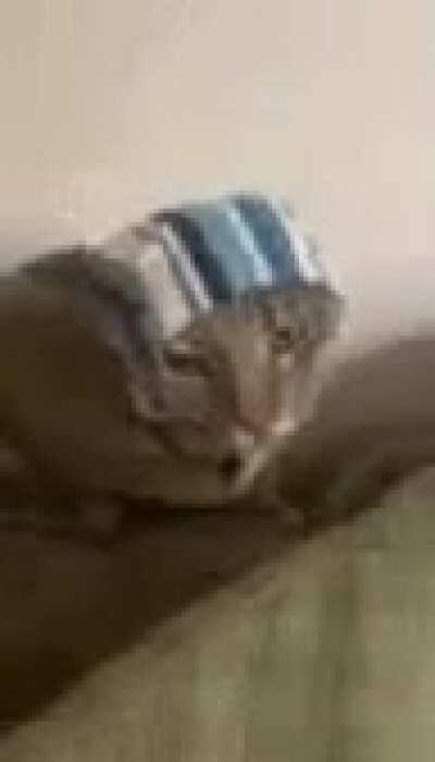 I have put a price of 20 thousand dirham on his head