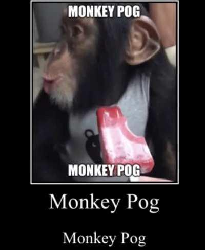 Monkey Pog Monkey Pog