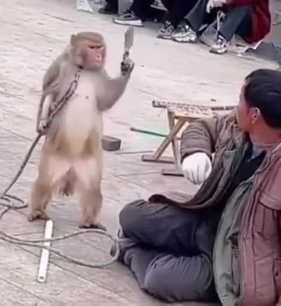 Planet of the ape 4 look good