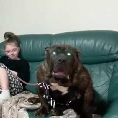 Вы не бойтесь, он не кусается